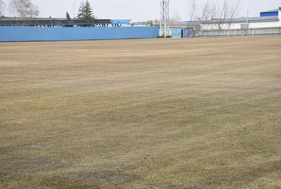 В Пензе футбольное поле «Зенита» пережило зиму
