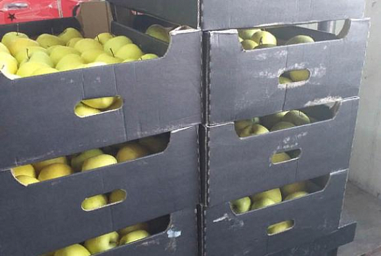 На полигоне у Чемодановки уничтожили 90 кг яблок