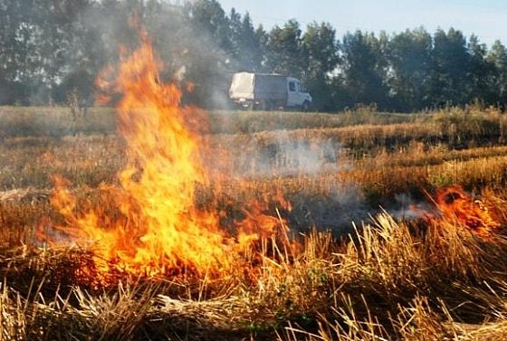 В Пензенской области за сутки произошло 35 пожаров
