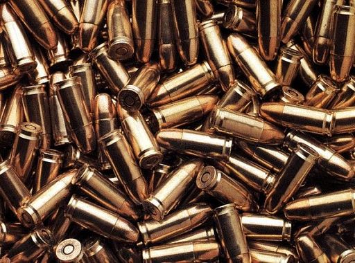 Пензенские полицейские при обыске обнаружили 940 патронов