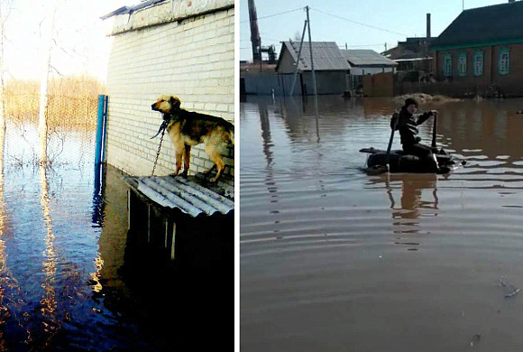 Фото и видео vk.com/podslushano_nl, vk.com/typicalkamenka, vk.com/sekretkamenka, vk.com/serdobsktop Жители Пензенской области делятся фото и видео подтоплений