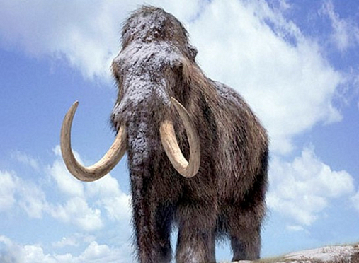 В Казахстане обнаружили останки мамонта