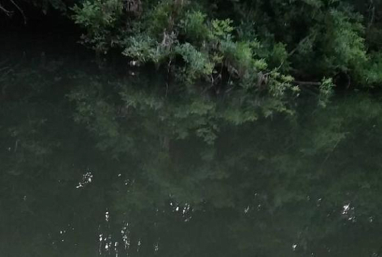 Пензенцы обнаружили в реке тело мужчины
