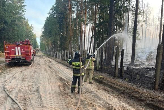 Пензенские спасатели продолжают бороться с пожарами в Мордовии