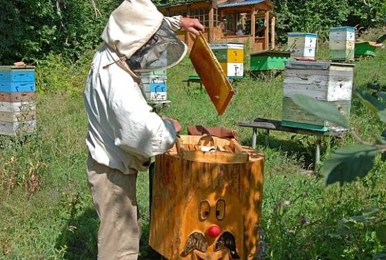 В Пензенской области пройдет семинар пчеловодов