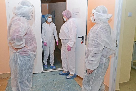 В России 5 человек заразились подвидом омикрона «кентавр»