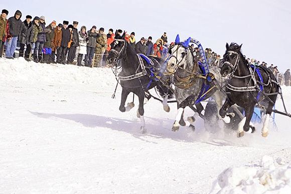 Фото||Владимир ГРИШИН, автора Отдых в Пензенской области: вода как в Мертвом море, конные прогулки и рыбалка