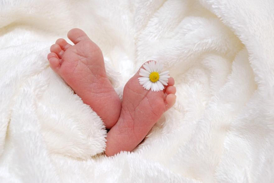 Пензенские семьи дистанционно оформляют документы на рождение ребенка