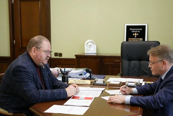 Мельниченко поручил ускорить работы по благоустройству и праздничному оформлению Пензы 