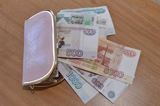 Средняя зарплата пензенцев в 2017 году составляет 25 тыс. рублей