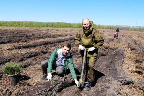 Фото||minleshoz.pnzreg.ru В Пензе на ГПЗ-24 появится аллея из уникальных деревьев
