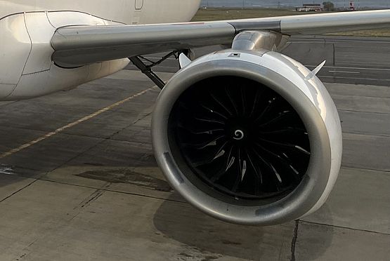 Летевший из Пензы в Москву самолет сообщил о проблеме с двигателем