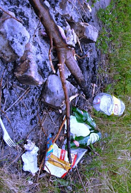 Фото||Владимир ГРИШИН В Спасском районе плодородное поле превратили в свалку