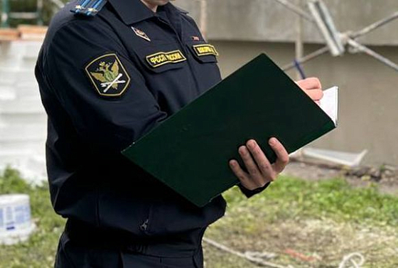 Суд вынес приговор жителю Пачелмы, пытавшемуся надеть на пристава наручники Суд вынес приговор жителю Пачелмы, пытавшемуся надеть на пристава наручники