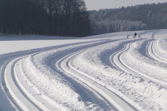 Фото||res000.gps-tour.info В Заречном 14 февраля пройдет «Лыжня России — 2016»
