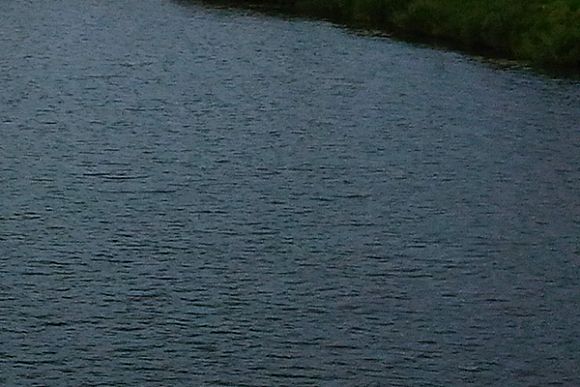 Фото||автора В Белинском районе найден погибшим 67-летний мужчина