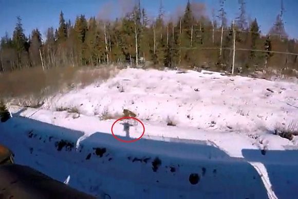 Фото||социальные сети Видео пензенского зацепера возмутили пользователей соцсетей