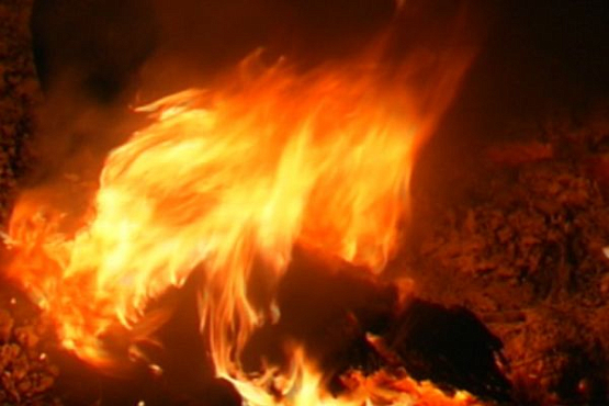 В Пензенской области пожар уничтожил 3,5 тонны сена