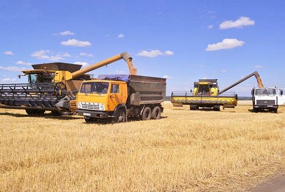В 2021 году в Пензенской области планируют собрать 2,8 млн тонн зерновых