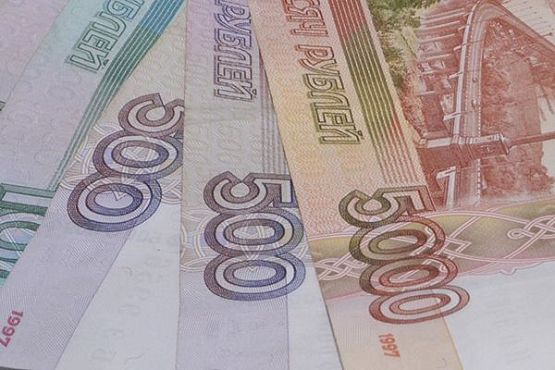 В Нижнеломовском районе сельчанка украла в гостях 80 тысяч рублей