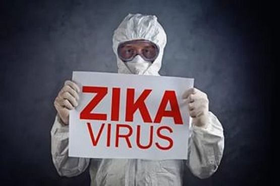 В Сингапуре уже 242 человека заразились вирусом Зика