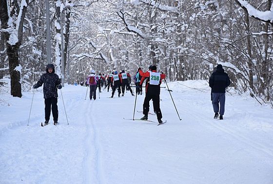 В выходные на Олимпийской аллее сдают в аренду более 150 пар лыж