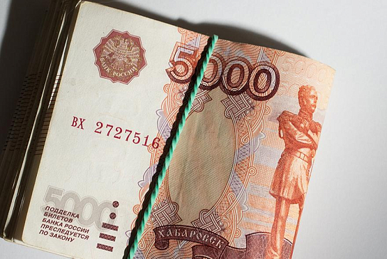 Многодетные семьи из Пензы могут получить 500 000 рублей
