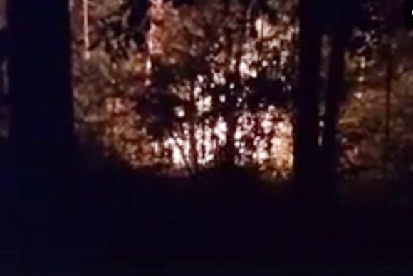 Появилось видео пожара в детском лагере в Ахунах