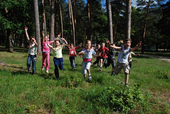 Белозерцев: В каждом районе области должен быть детский лагерь