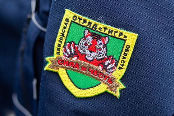 В Пензенской области отряд «Тигр» подвел итоги работы за полгода