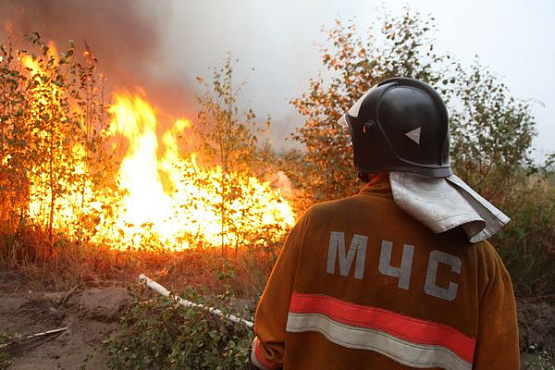 В Пензенской области с начала лета произошло 15 лесных пожаров