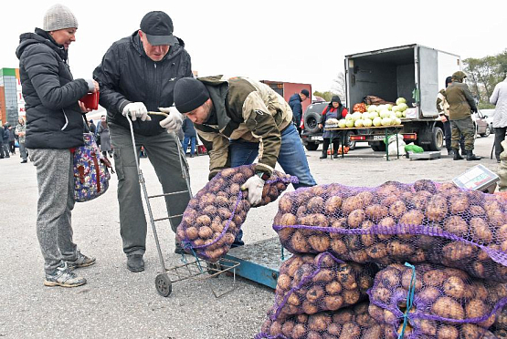 Доступные цены: в Пензе на ярмарке продавали картошку по 20 рублей, капусту — по 12 
