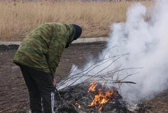 Пензенцев просят не сжигать сухую траву и мусор