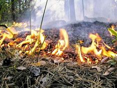 В Кузнецком районе произошло несколько пожаров
