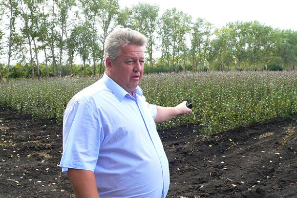 Фото||автора Спасский район — яблочная столица Пензенской области