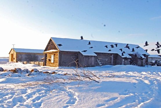 В Пензенской области 2 февраля ожидается снег и гололедица