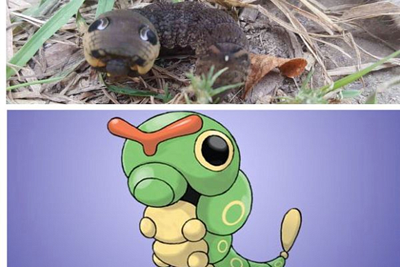 Фото||vk.com/typical_penza, Racinggame.info В Леонидовке кошка поймала «покемона Катерпи»