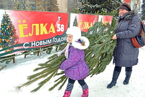 Новогоднюю елку в Пензе можно купить от 280 рублей