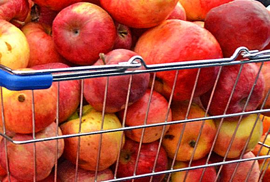 Как приготовить сухофрукты из яблок