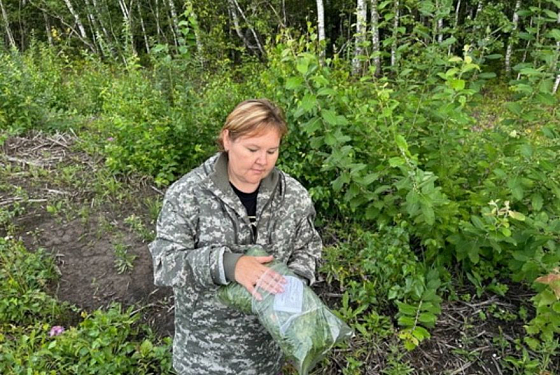 В пензенских лесах проверили уровень радиации В пензенских лесах проверили уровень радиации