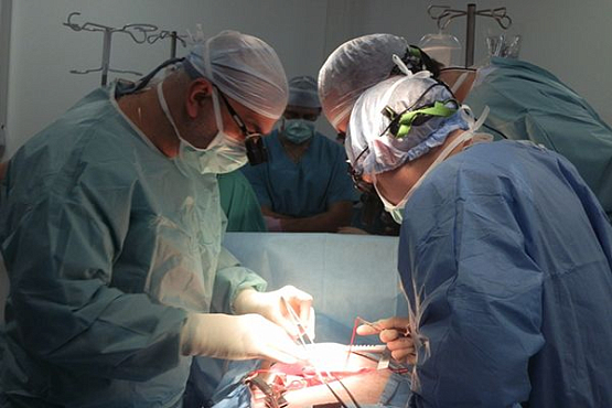 В Пензе опытный кардиохирург сделал операцию свинье
