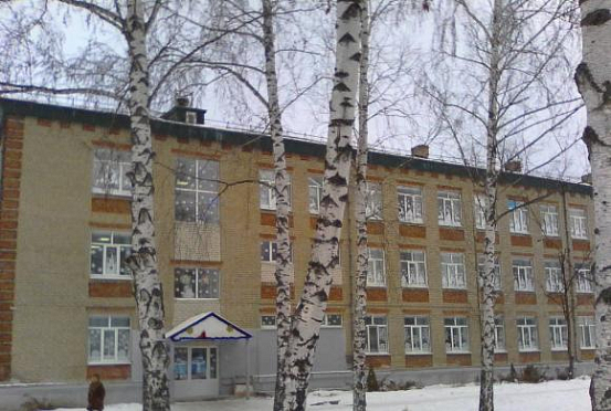 Воронков прокомментировал ситуацию вокруг травли замдиректора пензенской школы № 66