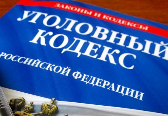 Фото||Владимир ГРИШИН В Пензенской области вынесли приговор дочери, до смерти избившей мать