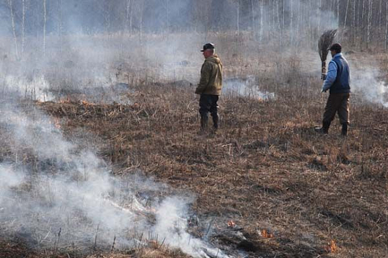 В Пензенской области впервые выберут лучшего лесного пожарного
