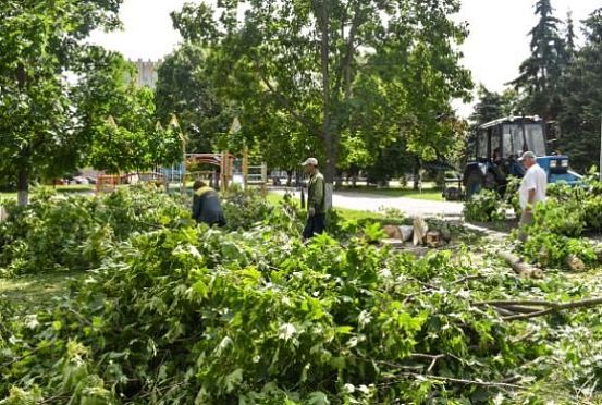 В Пензе ураган повалил около 50 деревьев