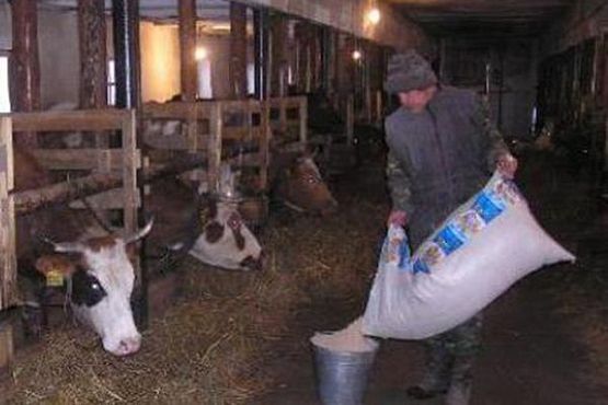 В Пензенской области сельчанам расскажут о поддержке семейных ферм