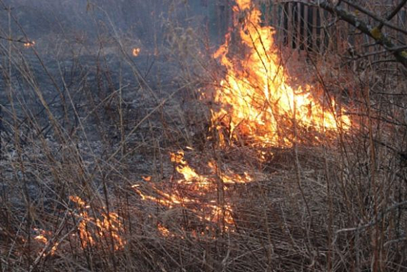 Фото||58.mchs.gov.ru В Пензенской области школьники-поджигатели дважды пытались скрыться от полицейских
