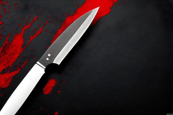 Сельчанка из Вадинска смертельно ударила ножом мешавшего спать брата