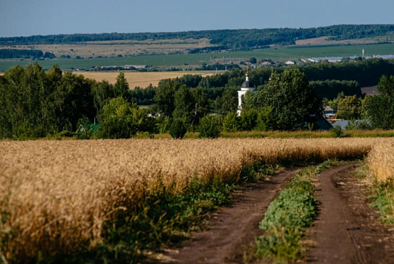 В Пензенской области планируют дополнительно ввести в оборот 17 тыс га заброшенных земель