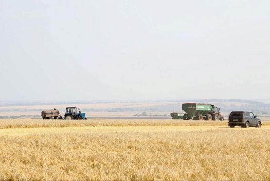 В Пензенской области собрали 1 млн тонн зерновых